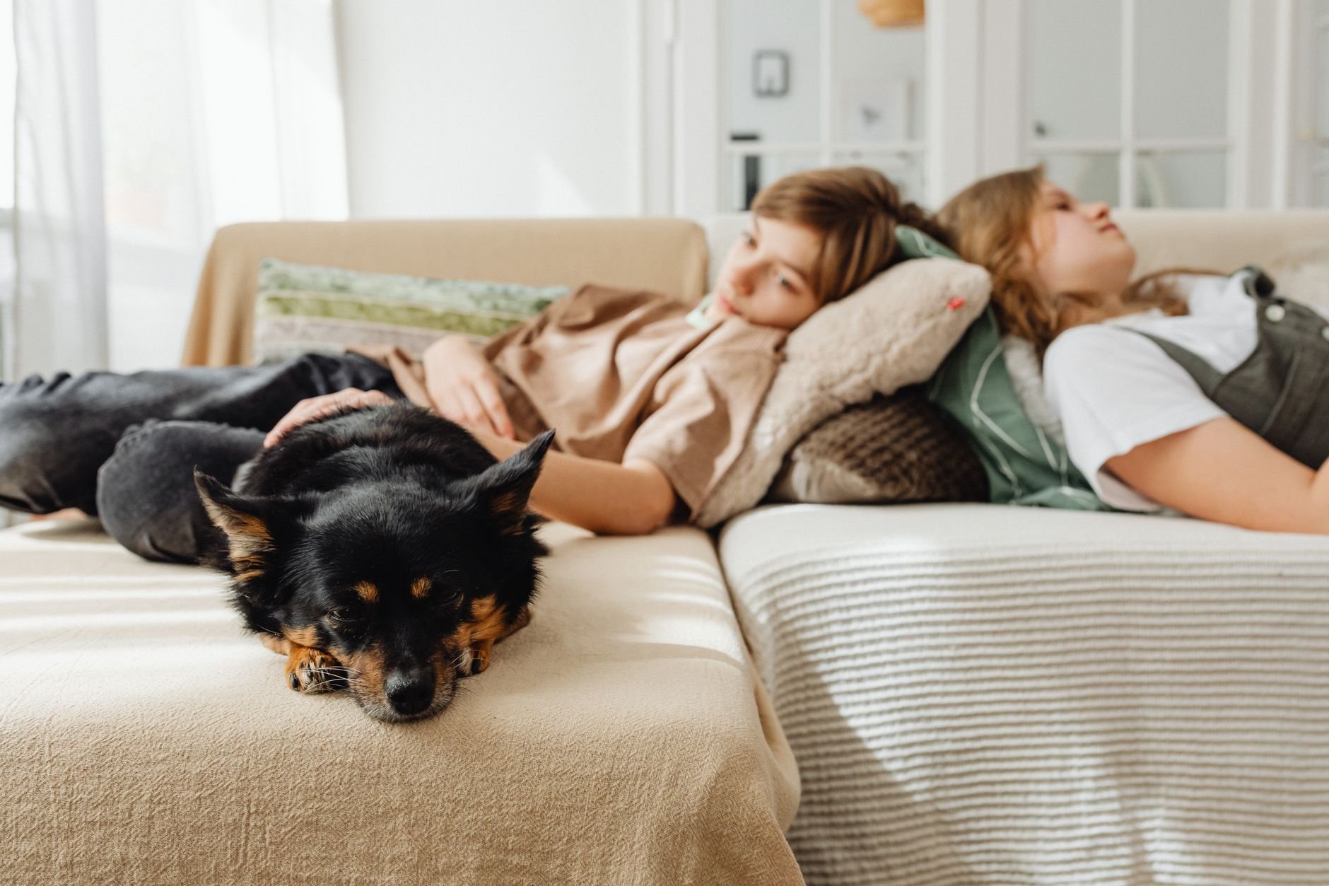 Two teenagers relaxing with a black dog in a cozy home setting, conveying warmth and togetherness.
